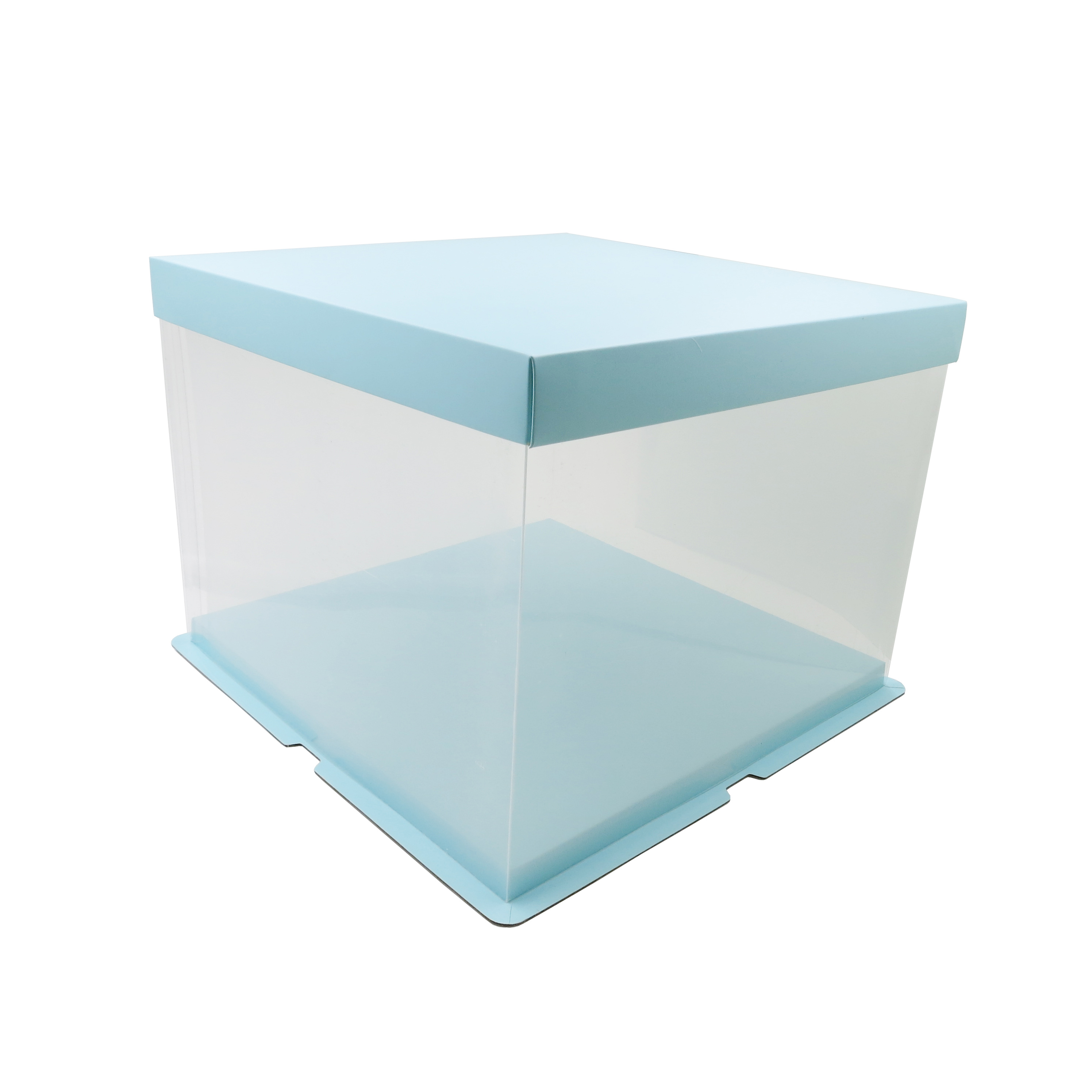 Food Grade PET Plastic Cake Box for 10